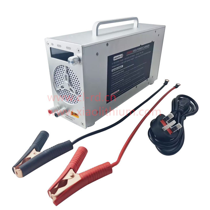 DDP Leistungsstarker 3000W 0-6 – Chargers Bewertung und Preis