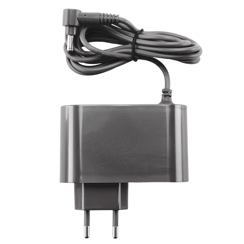 Ersatzladegerät für V10 V15 Ak – Chargers Bewertung und Preis